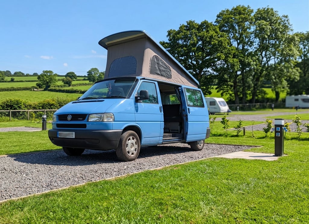 2002 Volkswagen Caravelle - Image 1