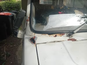 1987 Auto-Sleepers Talisman — photo 8 of 14