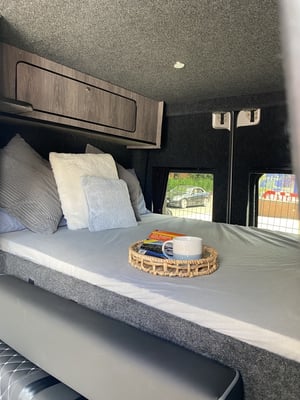 2017 Mercedes-Benz Sprinter — photo 11 of 19