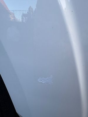 2020 Swift Escape 675 — photo 23 of 35