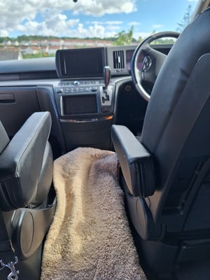2007 Nissan El Grand — photo 31 of 52