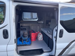 2008 Renault Trafic — photo 4 of 22