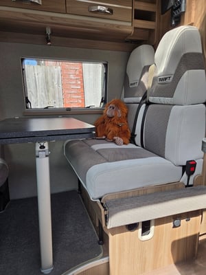 2019 Swift Select 184 — photo 51 of 52