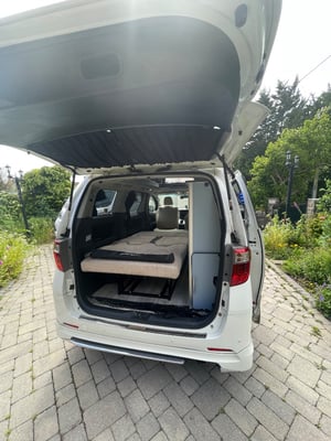 2012 Toyota Alphard Custom Conversion — photo 4 of 28