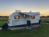 2010 Bailey Pegassus 534 - Image 4