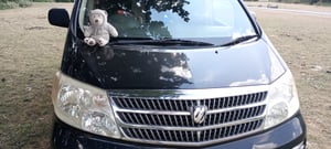 2004 Toyota Alphard — photo 2 of 7