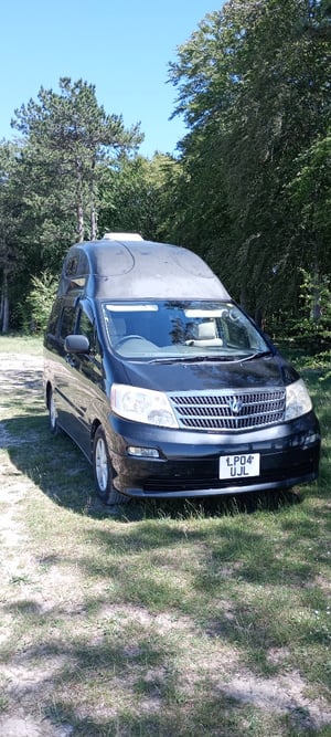 2004 Toyota Alphard — photo 6 of 7