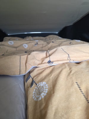 2024 Ford Nugget Plus Active — photo 22 of 64