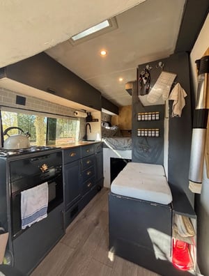 2008 Mercedes-Benz Sprinter — photo 10 of 12