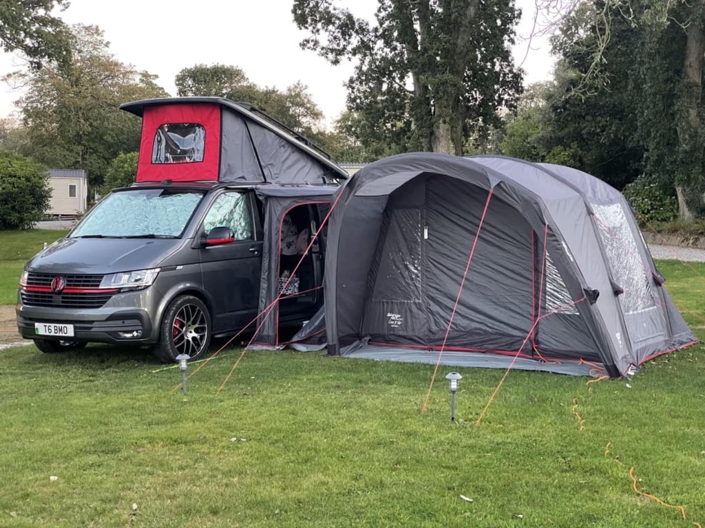 2020 Volkswagen T28 - Image 1