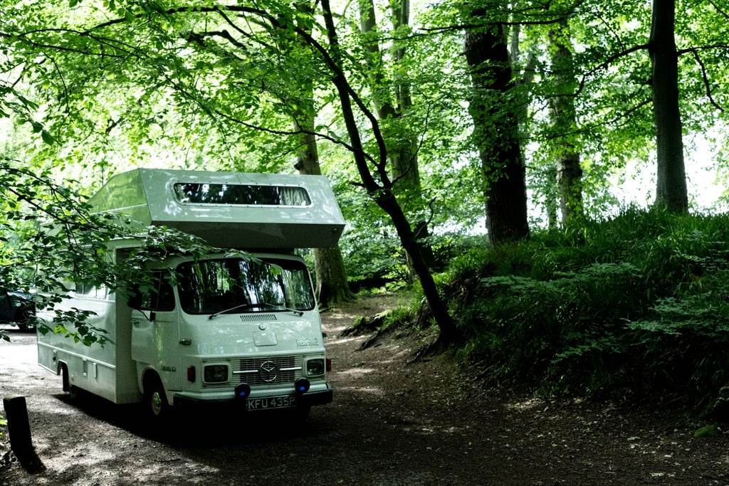 1980 Mercedes-Benz 306d - Image 1