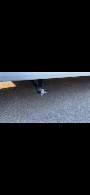 2020 Elddis Autoquest 194 — photo 15 of 16