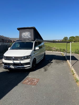 2016 transporter T30 trendline — photo 11 of 33