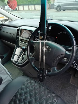 2004 Toyota Alphard — photo 19 of 22