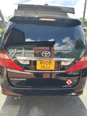 2009 Wellhouse Toyota Alphard — photo 9 of 11