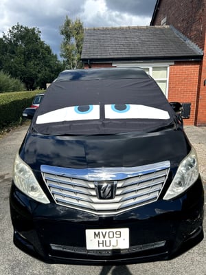 2009 Wellhouse Toyota Alphard — photo 10 of 11