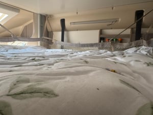 2019 Benimar T494 — photo 73 of 75