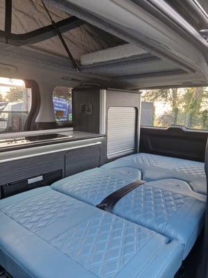 2010 Toyota Alphard — photo 9 of 9