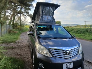 2010 Toyota Alphard — photo 7 of 8