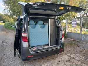 2010 Toyota Alphard — photo 8 of 8
