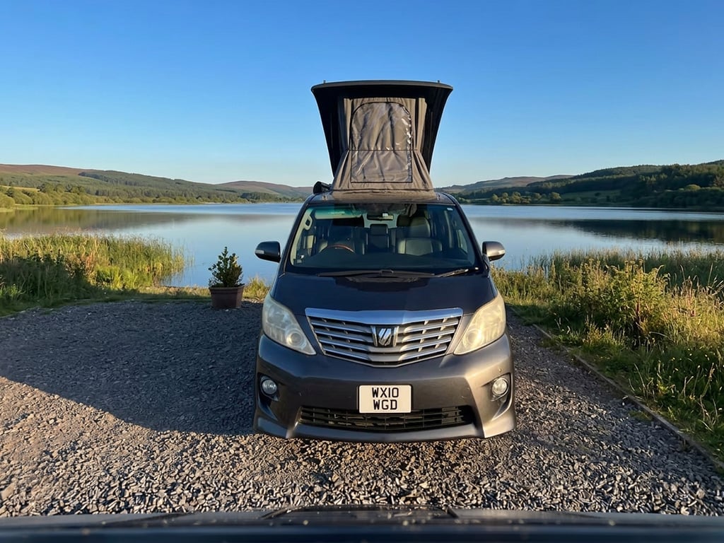 2010 Toyota Alphard - Image 1