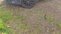 2021 Volkswagen Crafter - Video 2