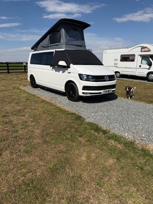 2017 Volkswagen Transporter T6 — photo 5 of 22