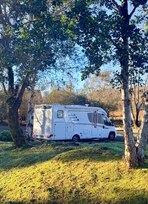 2014 Hymer Tramp — photo 12 of 26