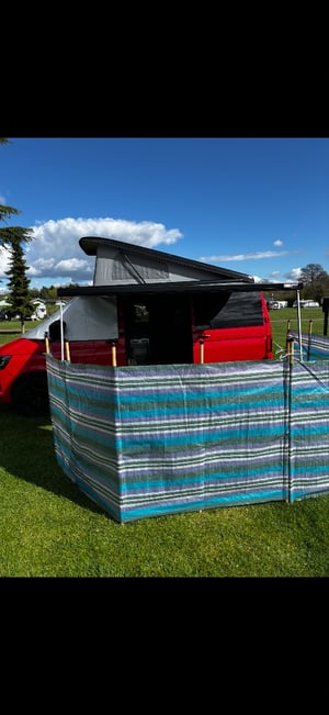 2019 Volkswagen Camper King — photo 22 of 41