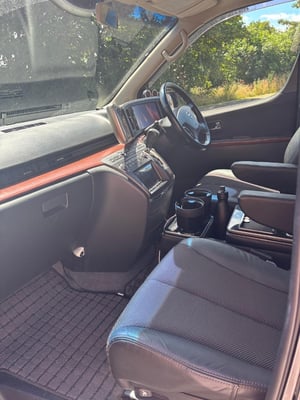 2019 Nissan Elgrand — photo 14 of 16