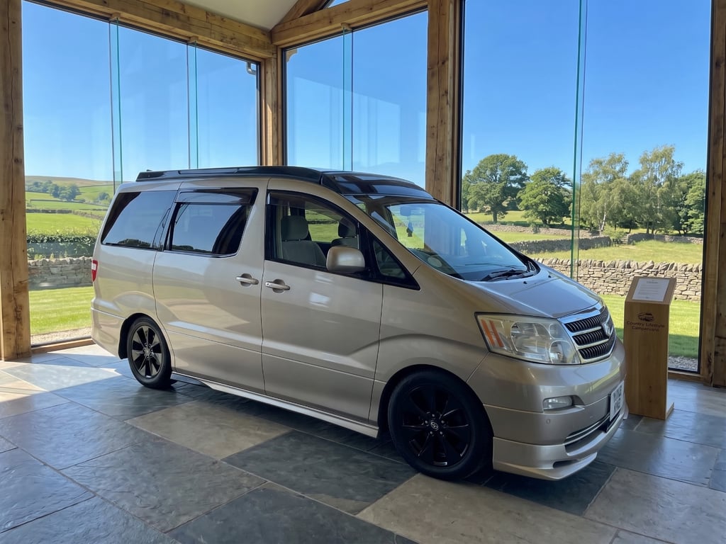 2004 Toyota Alphard - Image 1