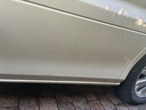 2019 Toyota Alphard — photo 6 of 27