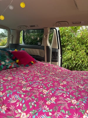 2019 Toyota Alphard — photo 13 of 27