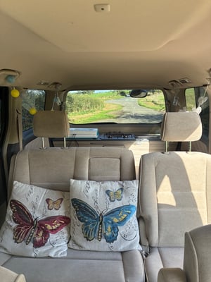 2019 Toyota Alphard — photo 21 of 27
