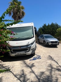 2020 Fiat Pegaso 740 - Image 4
