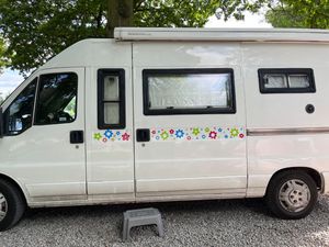 2005 Morelo murvi — photo 1 of 17