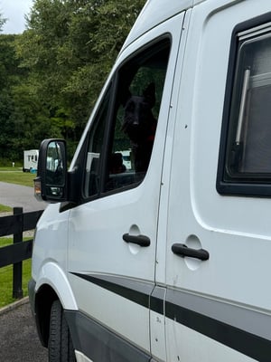 2009 Mercedes-Benz Sprinter — photo 14 of 42