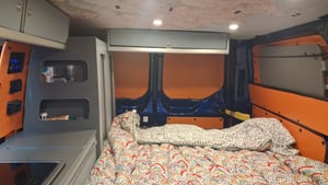2017 Ford Transit Custom — photo 11 of 17