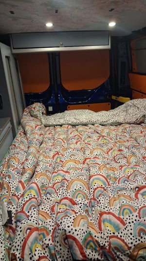 2017 Ford Transit Custom — photo 14 of 17