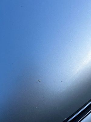 2014 Volkswagen Transporter Snowdonia SE — photo 21 of 21