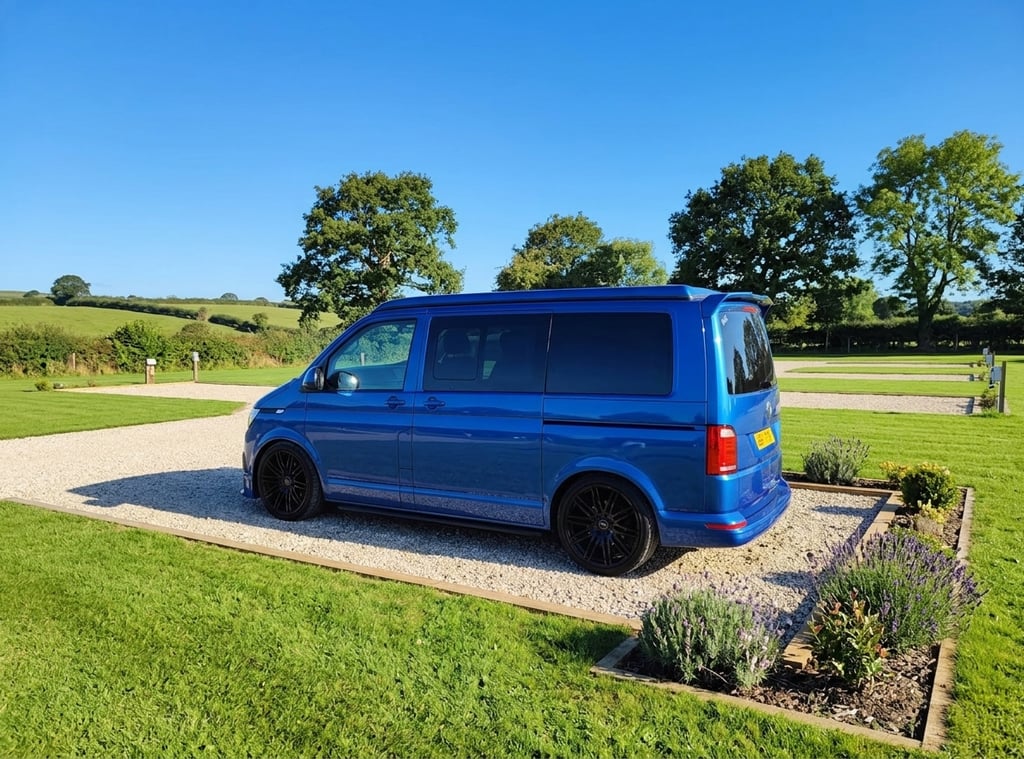2021 Volkswagen Transporter T6.1 - Image 1