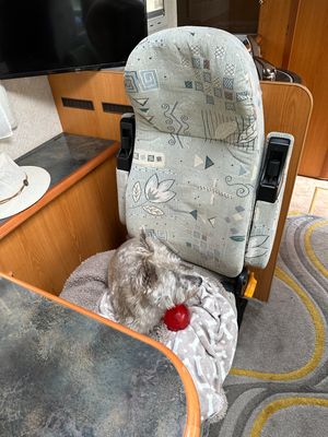 1999 Pilote Galaxy 270 — photo 12 of 25